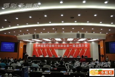貴州省醫(yī)療器械行業(yè)協(xié)會正式成立，擘畫產業(yè)發(fā)展新藍圖